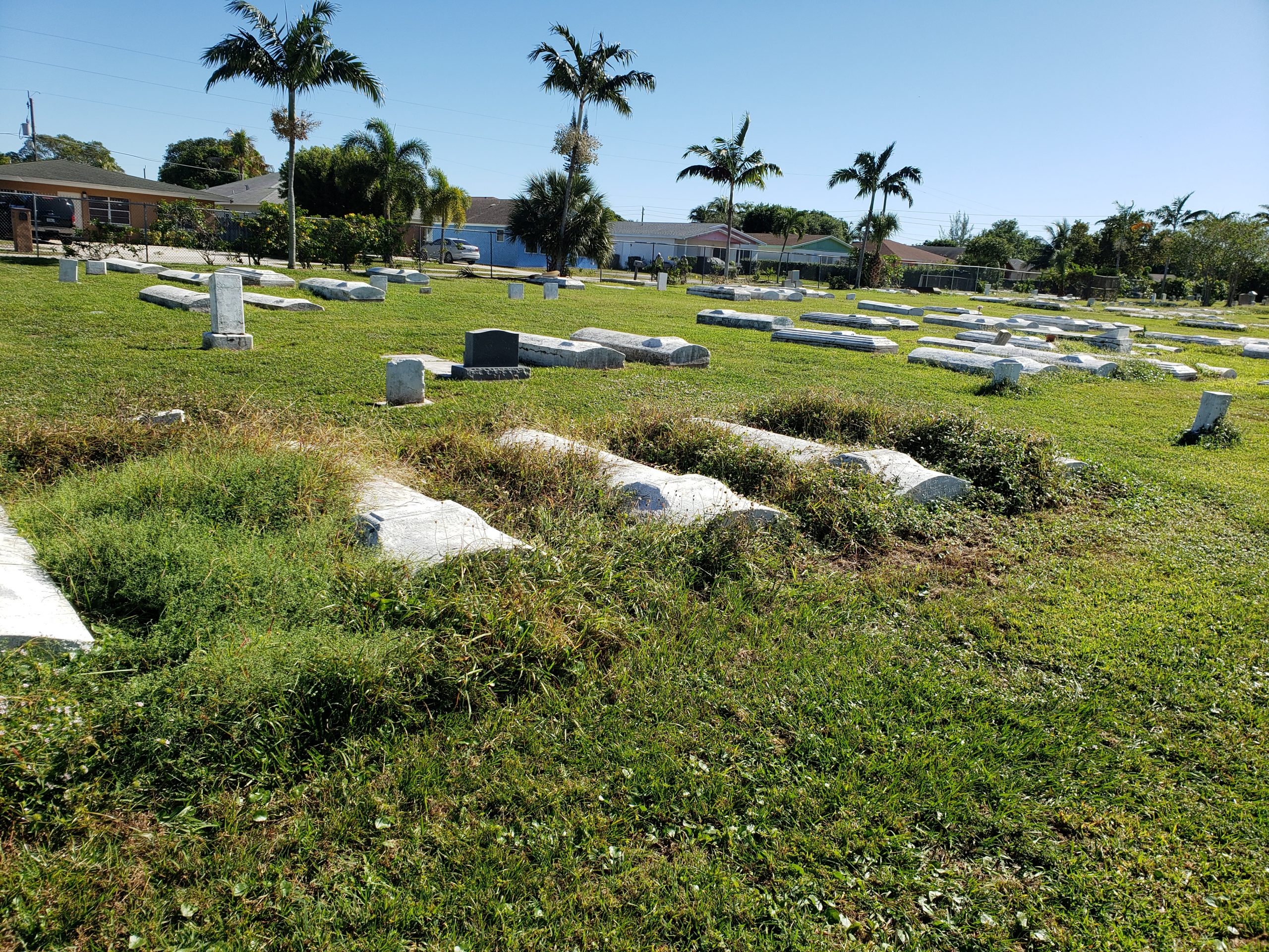 Cemetery 3